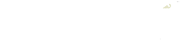 Cairo Fashion & Tex