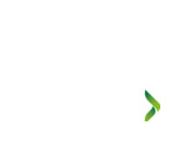 DreamHack Summer